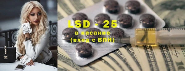 индика Новодвинск