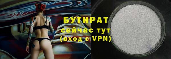 индика Новодвинск