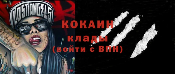 индика Новодвинск