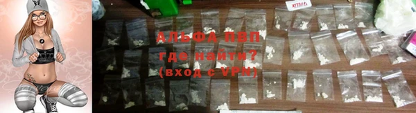 индика Новодвинск