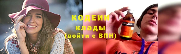 СК Новозыбков