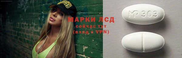 индика Новодвинск