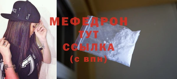 индика Новодвинск