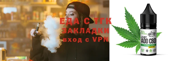индика Новодвинск