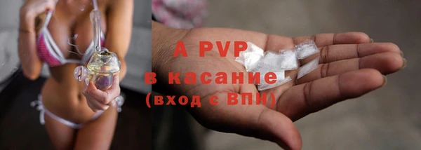 индика Новодвинск