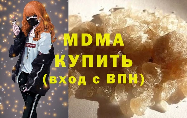 индика Новодвинск