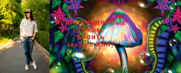 СК Новозыбков
