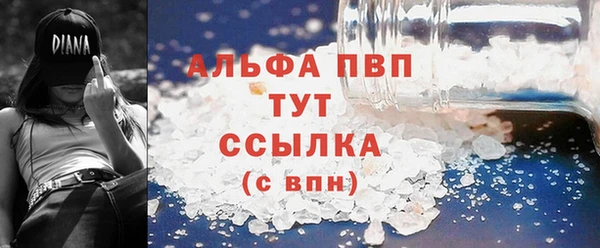 индика Новодвинск