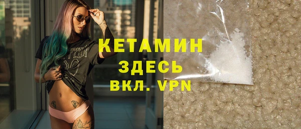 индика Новодвинск