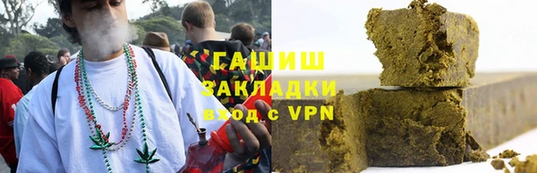 индика Новодвинск