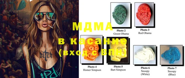 индика Новодвинск