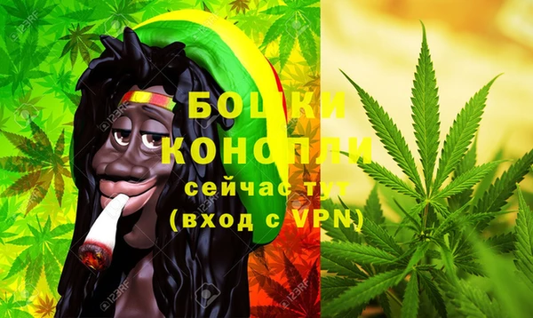 СК Новозыбков