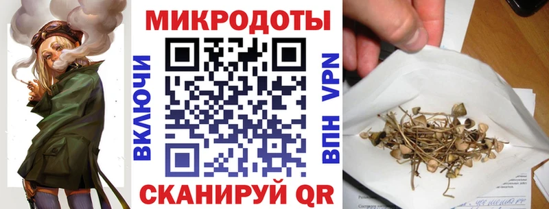продажа наркотиков  Тихорецк  Галлюциногенные грибы мицелий 